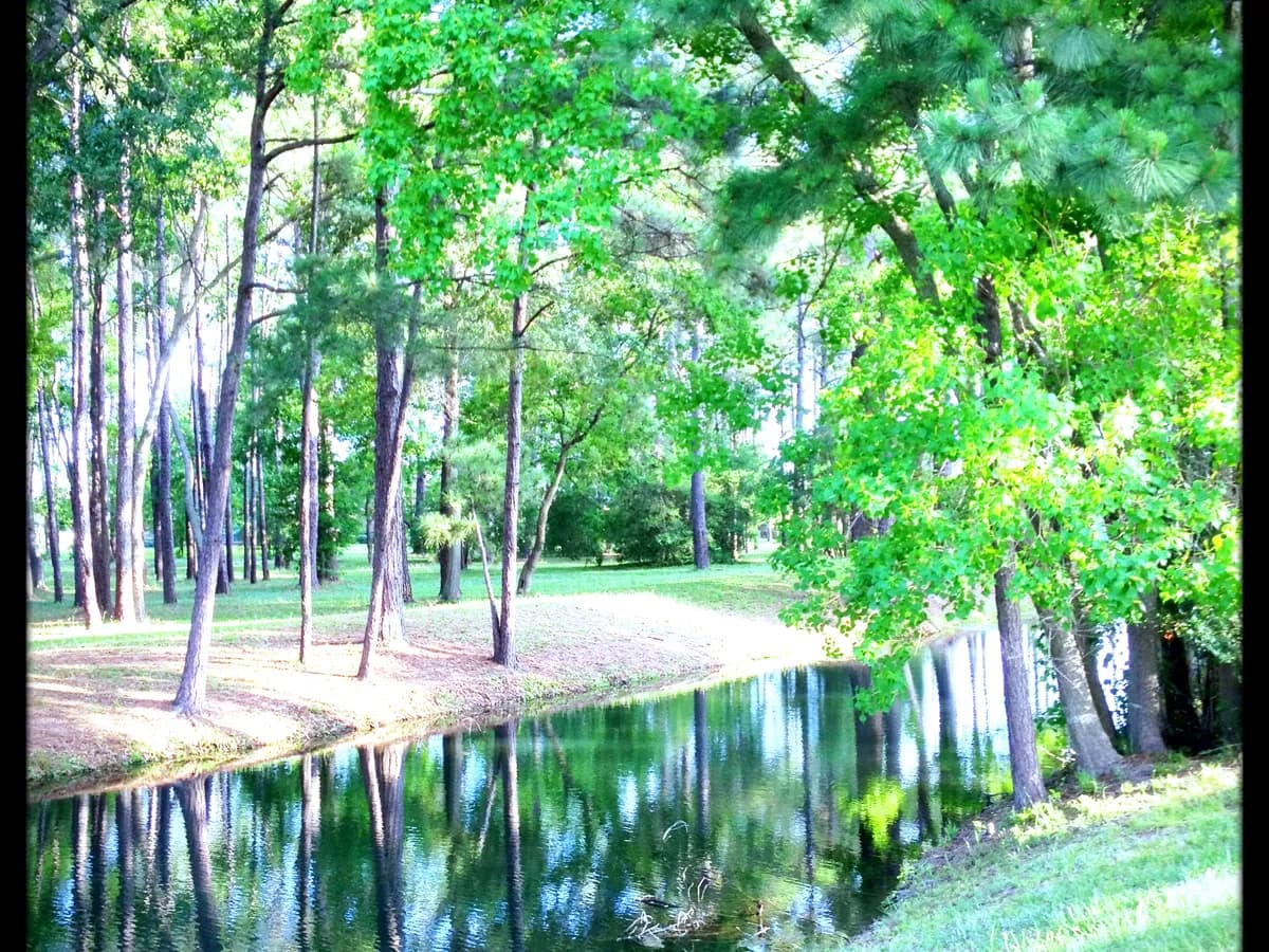Cypress Lake at Coles Crossing master-planned community