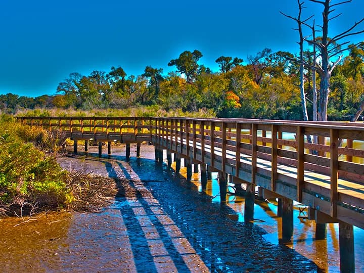 Wooden walkway at Bay Area Park, Pasadena